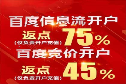 某知名品牌SEM运营策略及效果评估